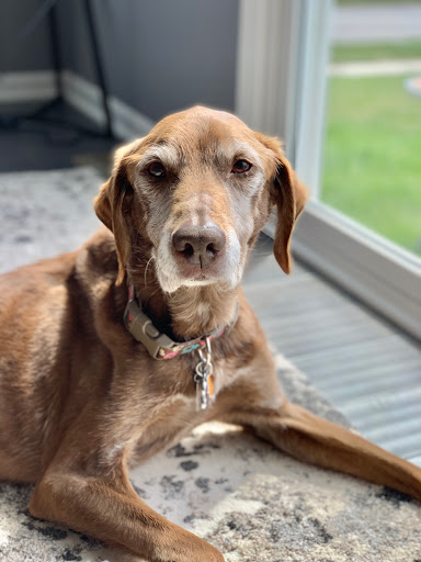 1280 US-34, Oswego, IL 60543, USA