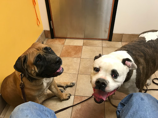 Pet Supply Store «PetSmart», reviews and photos, 4500 Mitchellville Rd, Bowie, MD 20716, USA