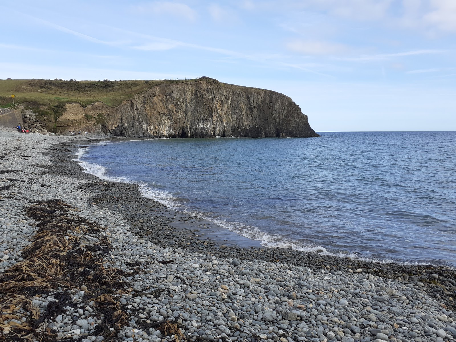 Ballyvooney Cove Beach'in fotoğrafı vahşi alan