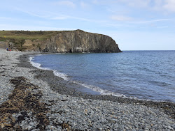 Ballyvooney Cove Beach'in fotoğrafı vahşi alan