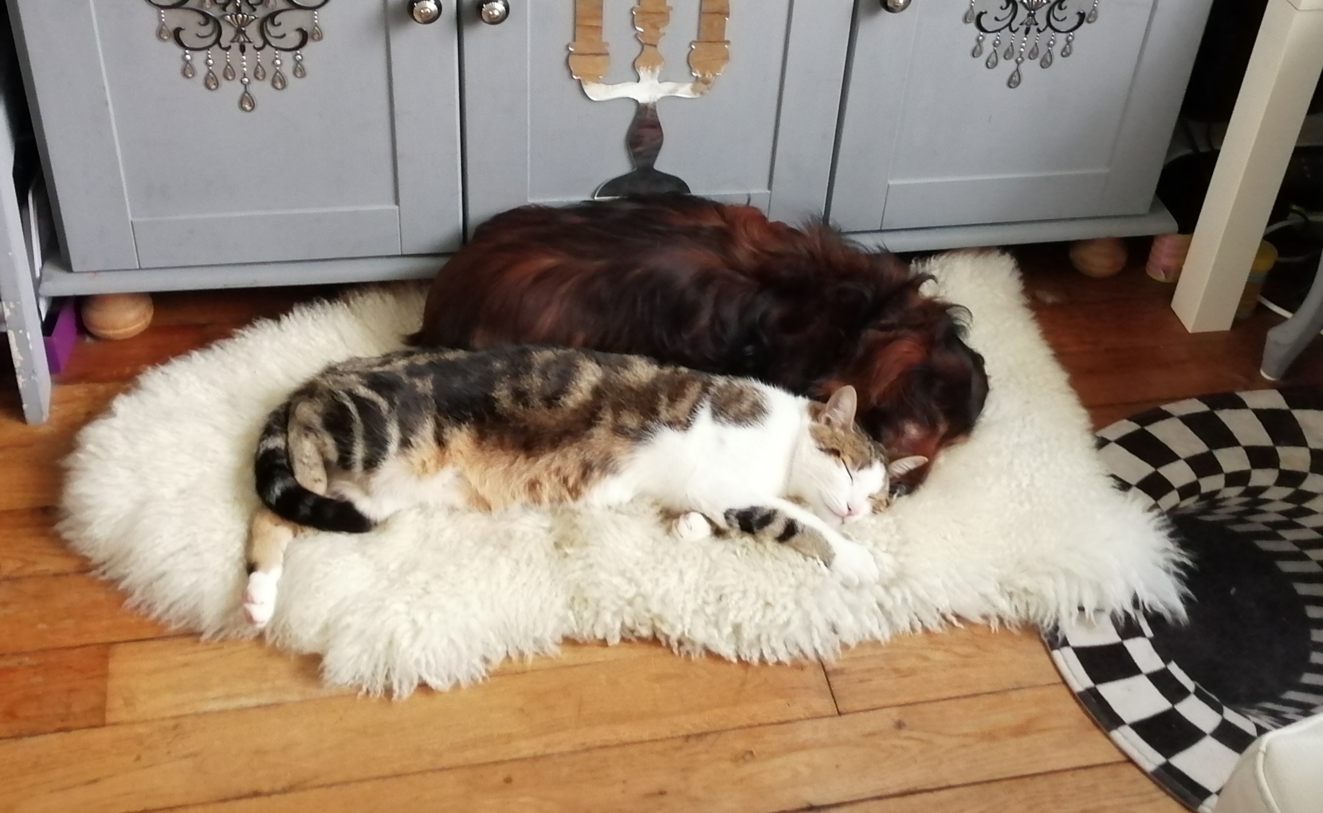 Photo n° 2 de l'avis de Di.n fait le 18/10/2021 à 14:36