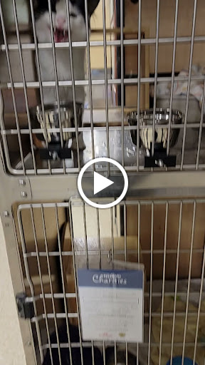 Pet Supply Store «PetSmart», reviews and photos, 1521 Golden Gate Plaza, Mayfield Heights, OH 44124, USA