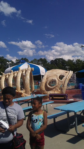 Park «Highland Park Aquatic Center», reviews and photos, 1840 Edgcumbe Rd, St Paul, MN 55116, USA