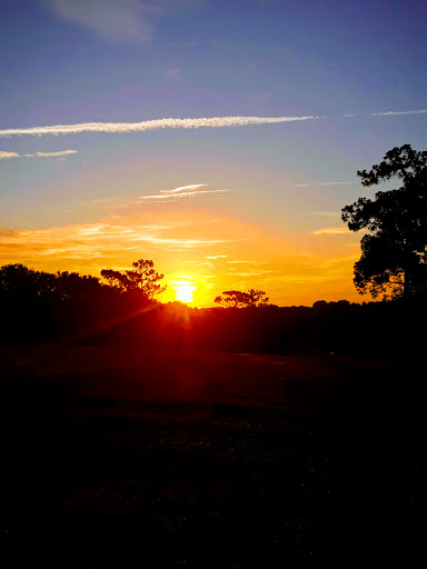 Golf Club «Mount Dora Golf Club», reviews and photos, 1100 S Highland St, Mt Dora, FL 32757, USA