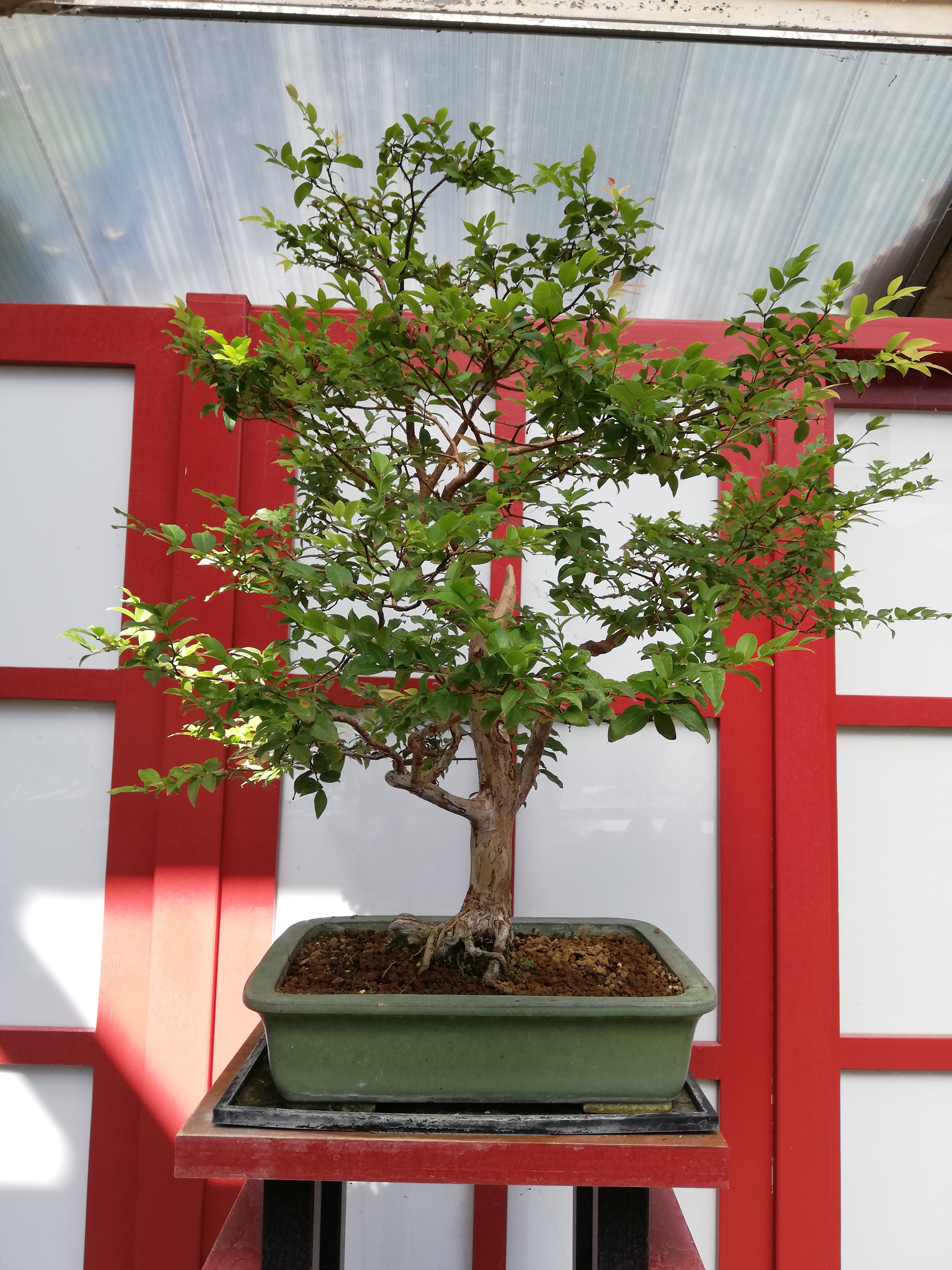 Photo n° 17 de l'avis de Samia.e fait le 16/08/2020 à 16:39