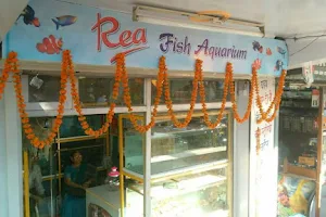 Rea fish aquarium image