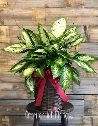 Florist «Greenspoint Florist», reviews and photos, 514 Gulf Bank Rd, Houston, TX 77037, USA