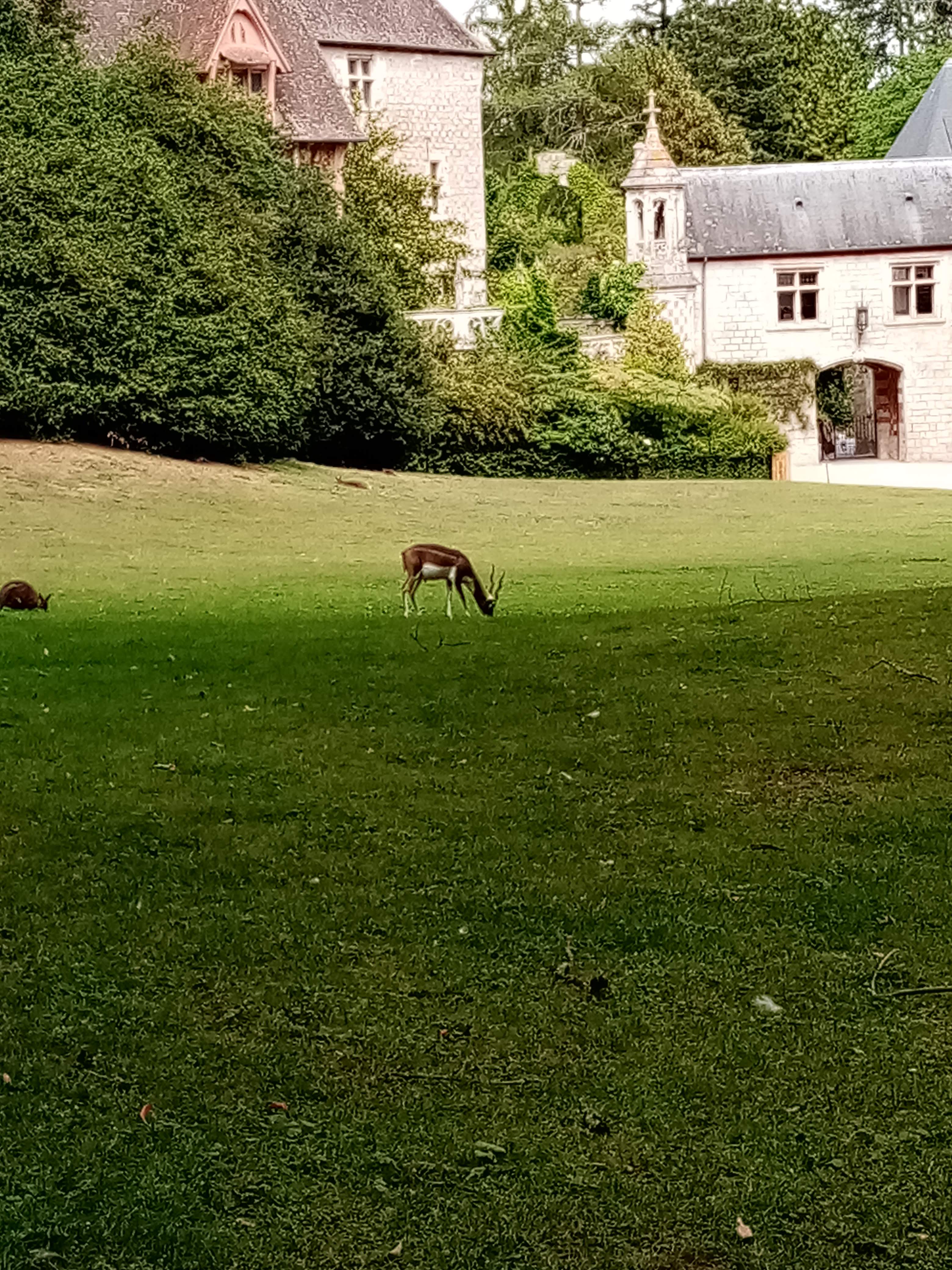 Photo n° 16 de l'avis de Marielaure.a fait le 25/07/2023 à 19:08