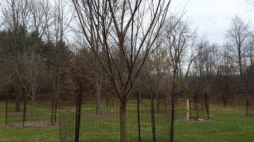 Nature Preserve «Wolf Creek Environmental Center», reviews and photos, 6100 Ridge Rd, Wadsworth, OH 44281, USA