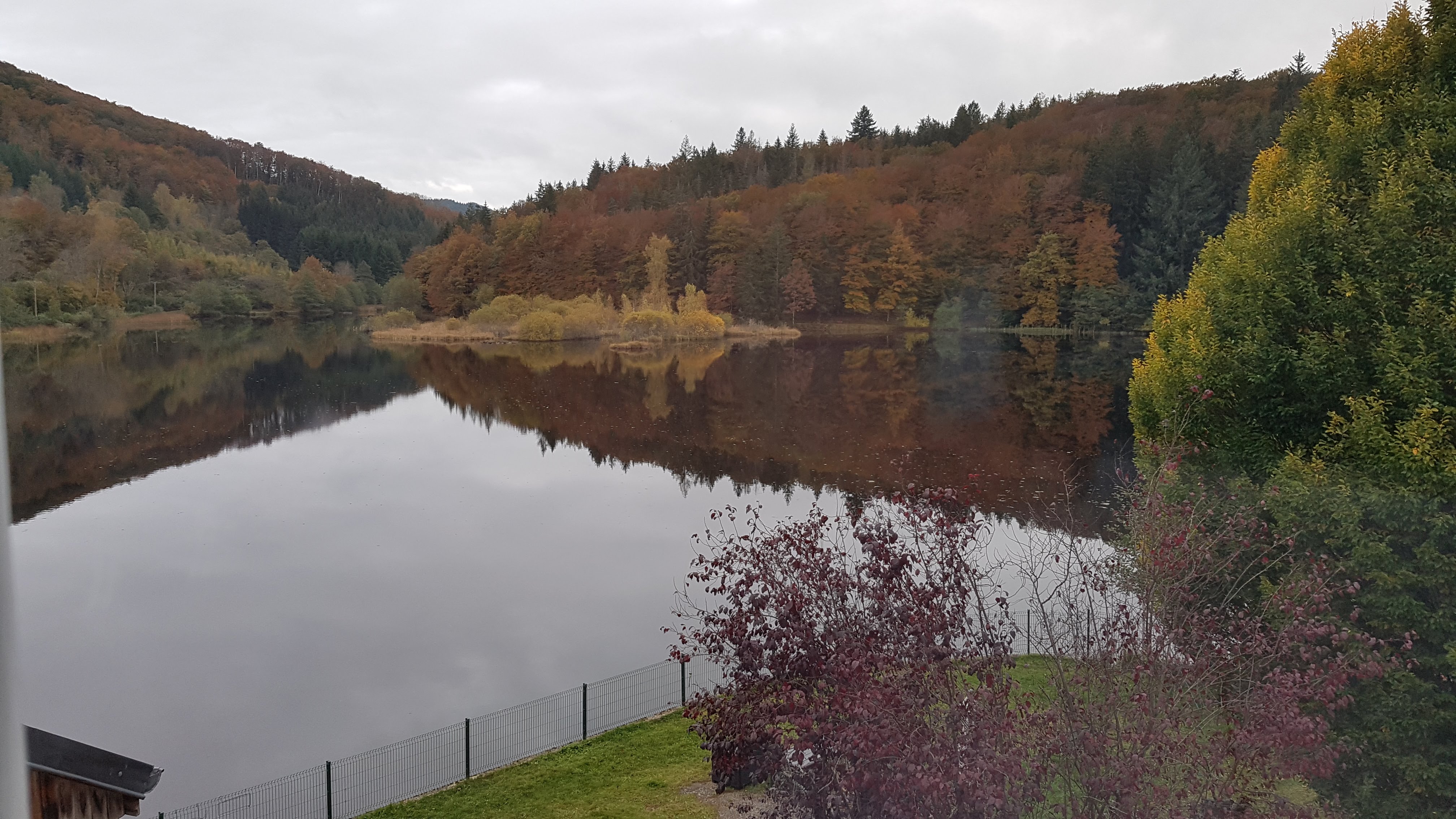 Photo n° 1 de l'avis de Denis.r fait le 26/10/2021 à 19:45