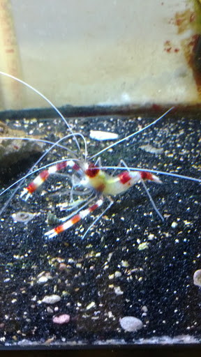 Pet Supply Store «Sunflower Natural Pet Supplies», reviews and photos, 514 Pillsbury Dr, Manhattan, KS 66502, USA