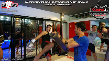 İstanbul MMA, Boxing, Kickboxing, Muay Thai, Luta Livre GYM ( Octopus VIP GYM )