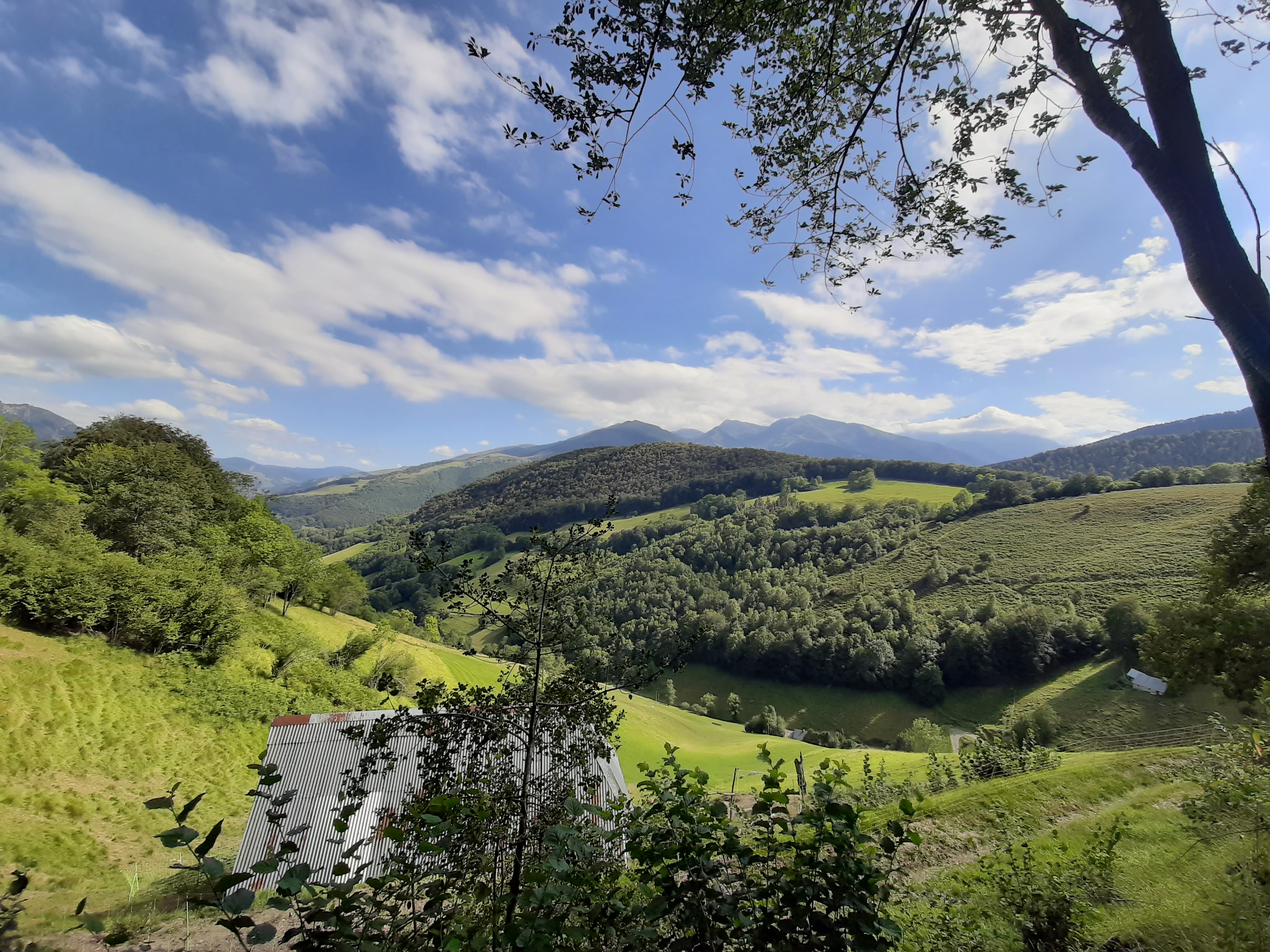 Photo n° 2 de l'avis de Sébastien.e fait le 27/08/2020 à 15:17