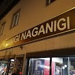 Aganigi Naganigi