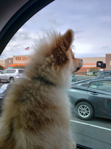 Home Improvement Store «The Home Depot», reviews and photos, 1385 7th St E, Monticello, MN 55362, USA