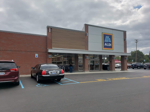 ALDI, 2931 Fort St, Wyandotte, MI 48192, USA, 
