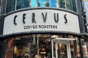 CERVUS COFFEE ROASTERS image