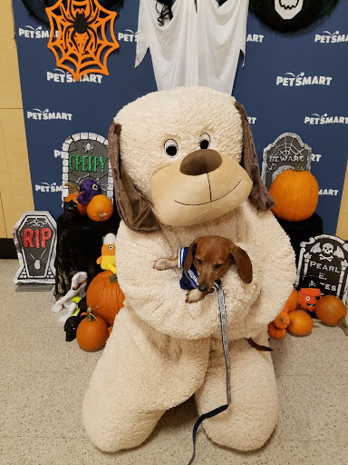 Pet Supply Store «PetSmart», reviews and photos, 1460 Koester Rd, Forsyth, IL 62535, USA