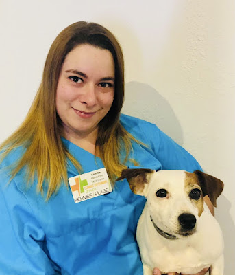 Clinique vétérinaire Vet Olympe à Marseille