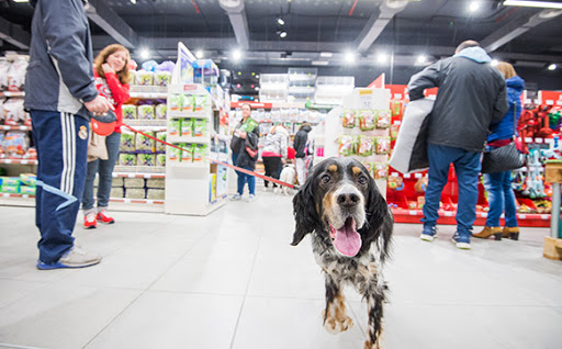 Kiwoko Mundo Animal en Valladolid