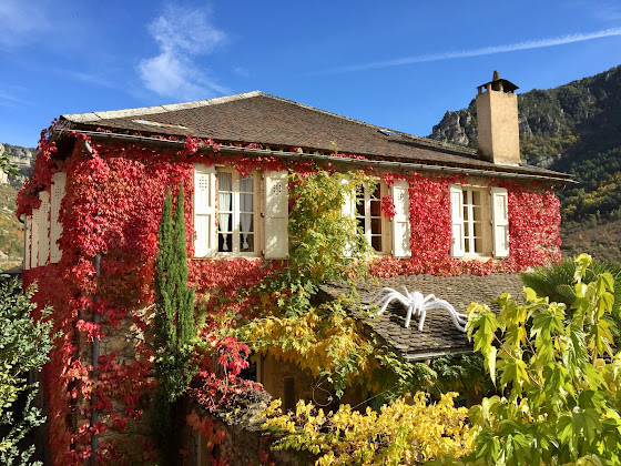 Photos des visiteurs Chambre d'hôtes Ermitage de Peyreleau 12720 Peyreleau