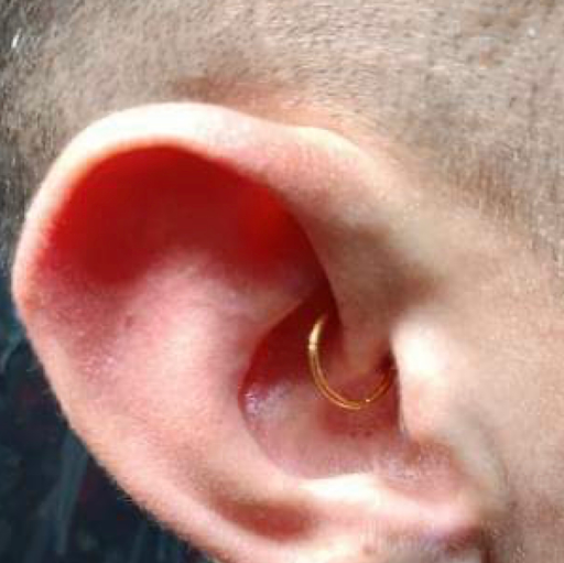 Explore aristocats tattoo ideas, creative tattoo ideas in Rehoboth Beach, available at Homeward Tattoo and Body Piercing