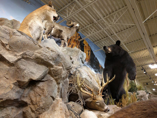 Outdoor Sports Store «Field & Stream», reviews and photos, 5215 Century Ave, Kalamazoo, MI 49006, USA