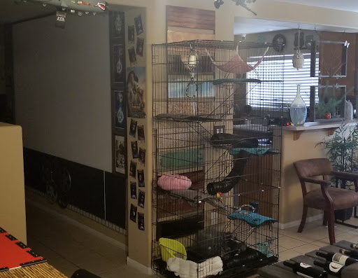 Pet Supply Store «Petco Animal Supplies», reviews and photos, 645 S Green Valley Pkwy, Henderson, NV 89052, USA