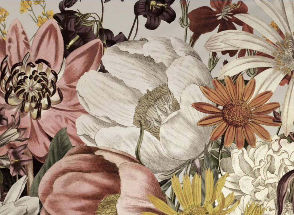 Bloom Aesthetic Studio 98020