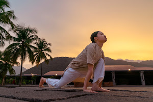 Yogalogy image