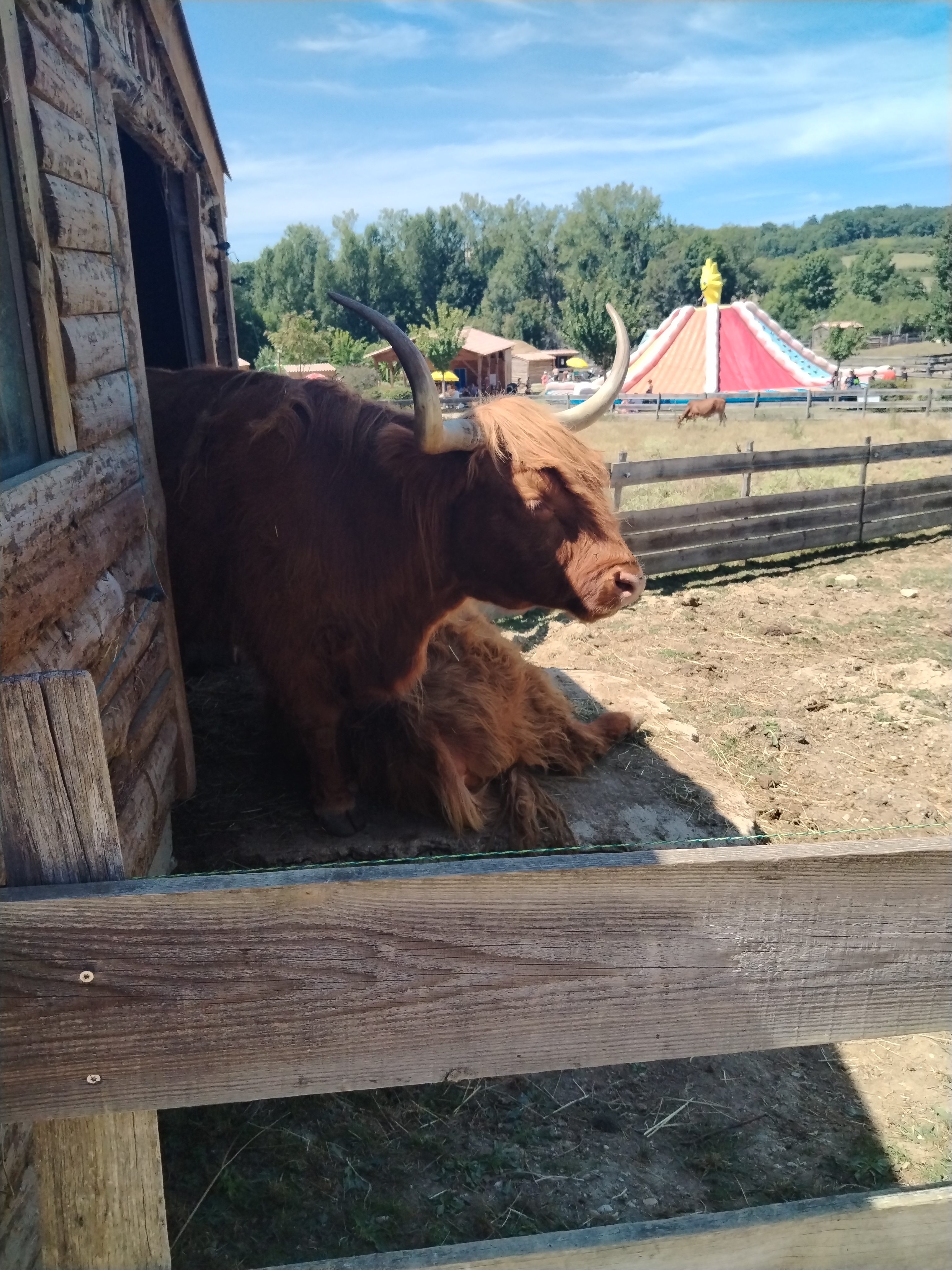 Photo n° 4 de l'avis de Nelly.h fait le 19/08/2023 à 14:28