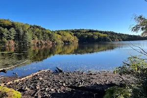 Shirakoma Pond image