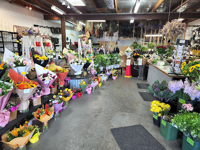 Flower Wholesalers - Takapuna