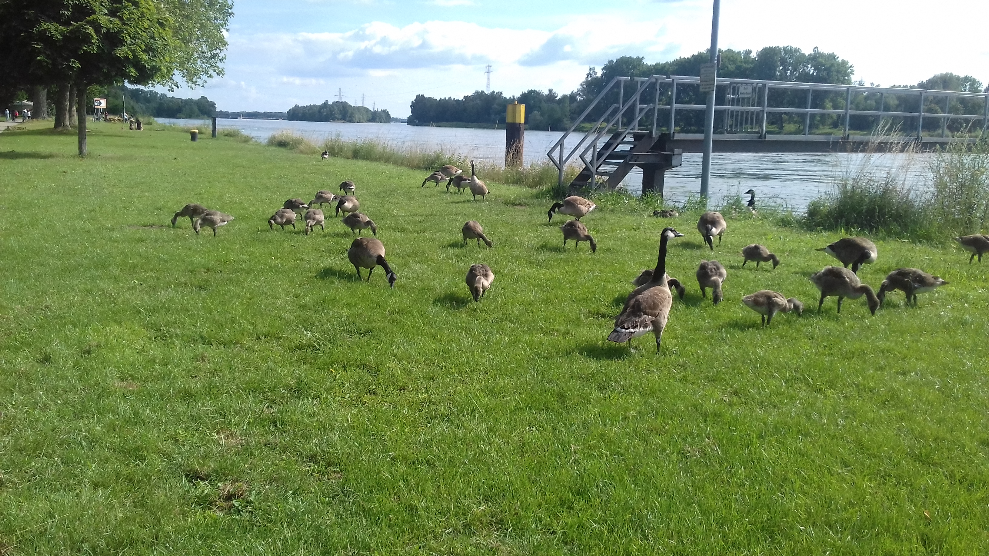 Photo n° 1 de l'avis de Maurice.C fait le 30/06/2019 à 08:35