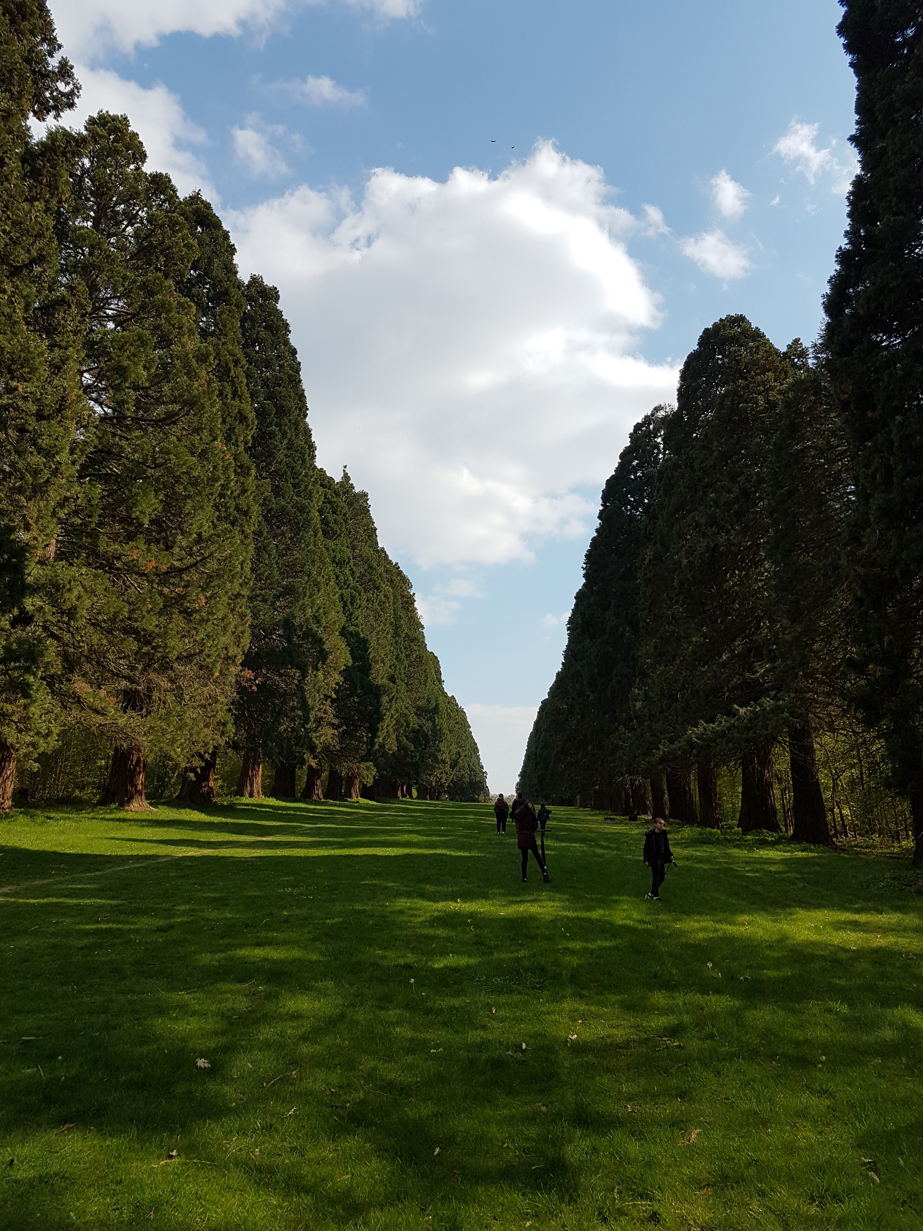 Photo n° 5 de l'avis de flo.i fait le 13/04/2019 à 15:54