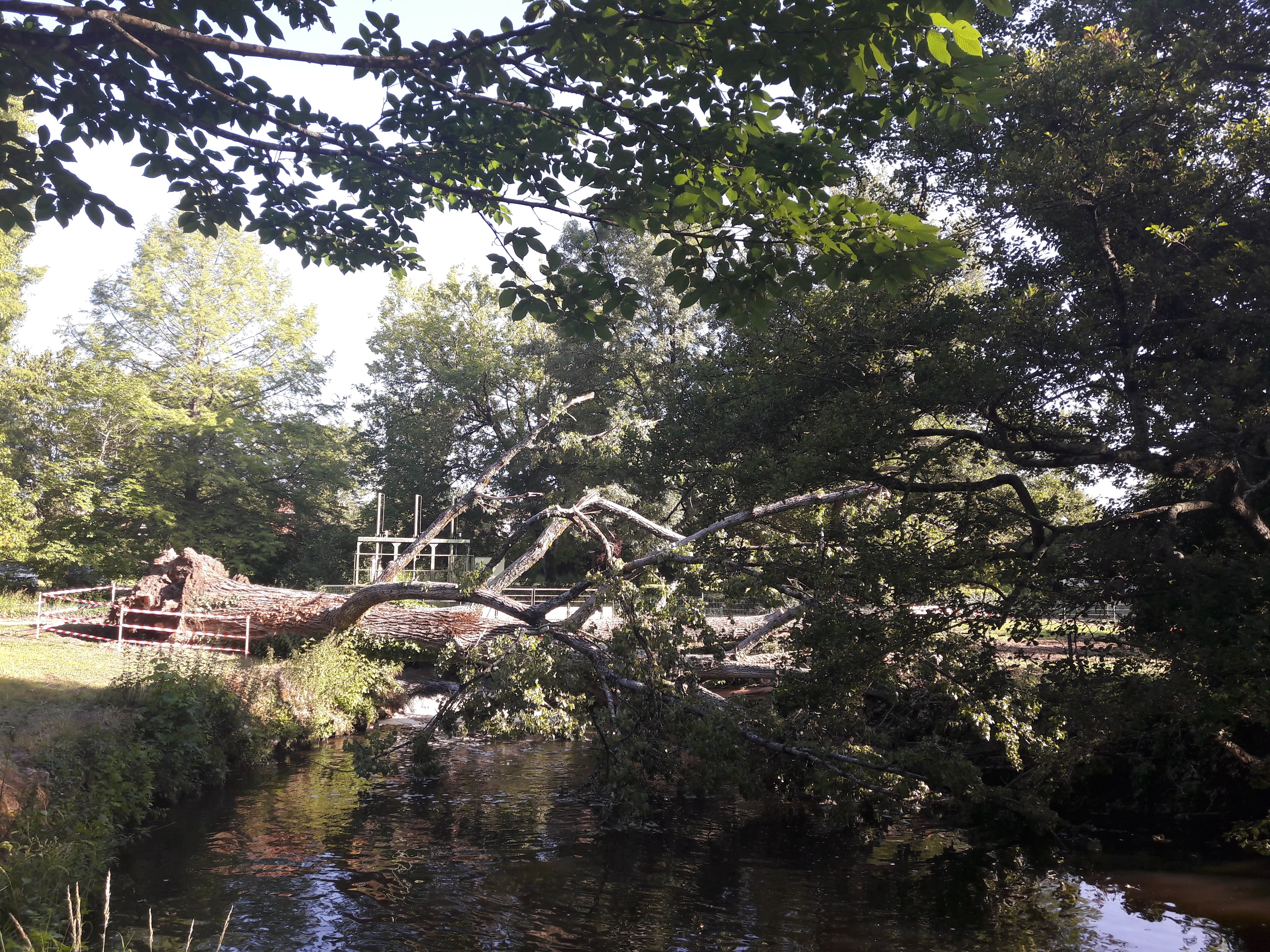 Photo n° 4 de l'avis de liliane.i fait le 18/06/2019 à 18:15