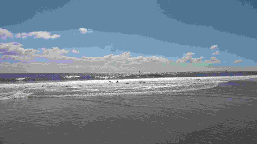 Pet Store «12th & Spring Pet Shop», reviews and photos, 1000 N 12th St, Reading, PA 19604, USA