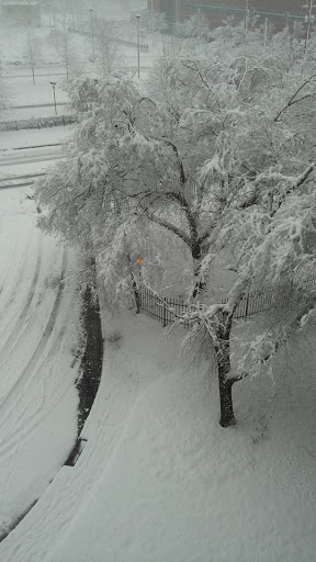 Non-Profit Organization «Urban Ministries of Durham», reviews and photos