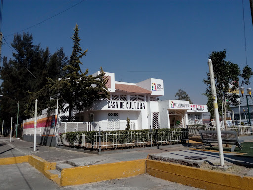 CAMPESTRE GUADALUPANA