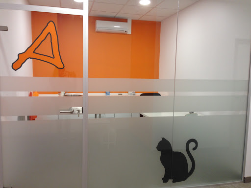 Animalons Veterinaris en Premià de Dalt