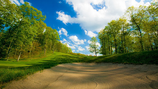 Public Golf Course «Bahle Farms Golf Course», reviews and photos, 9505 E Otto Rd, Suttons Bay, MI 49682, USA