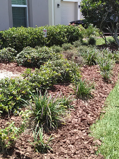 Golf Club «Stoneybrook West Golf Club», reviews and photos, 15501 Towne Commons Blvd, Winter Garden, FL 34787, USA