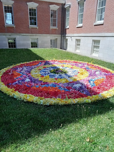 Museum «Staten Island Museum», reviews and photos, 75 Stuyvesant Pl, Staten Island, NY 10301, USA