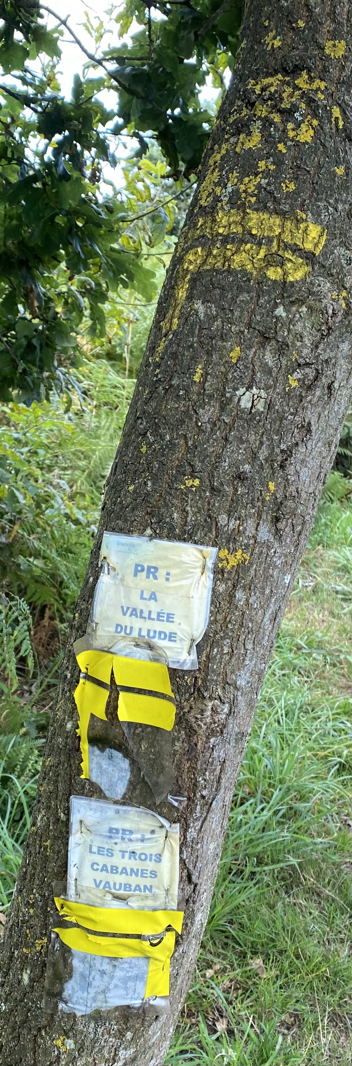 Photo n° 18 de l'avis de Cyrille.E fait le 12/08/2021 à 10:05