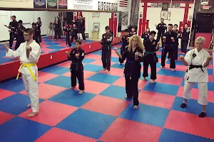 Shorei Goju Karate Academy image