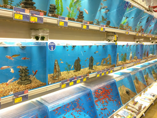 Pet Supply Store «PetSmart», reviews and photos, 2221 Oakton St, Evanston, IL 60202, USA