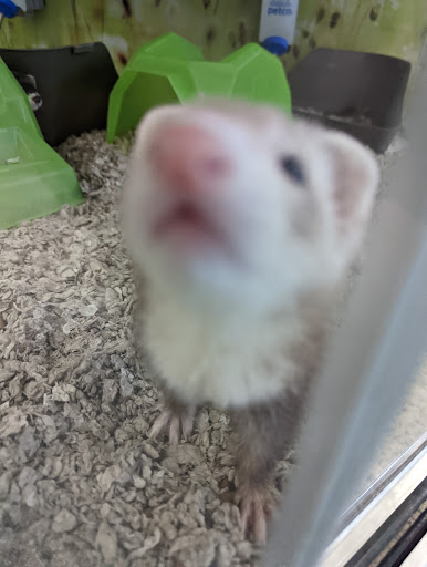 Pet Supply Store «Petco Animal Supplies», reviews and photos, 2000 NE Burnside Rd, Gresham, OR 97030, USA