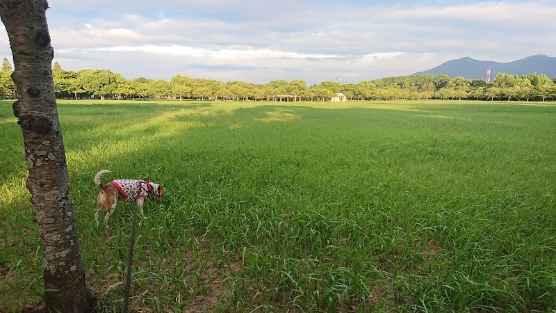 洞北緑地 福岡県北九州市本城 公園 公園 グルコミ