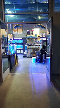 Age of Aquariums - Photo 2 - Car repair in Signal Hill, CA, Long Beach