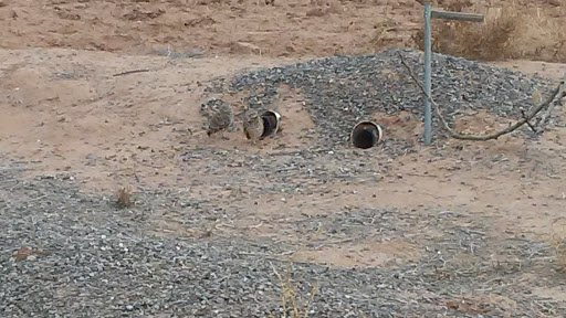 Park «Zanjero Park», reviews and photos, 3785 S Lindsay Rd, Gilbert, AZ 85297, USA